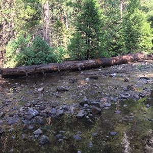 Meet your Posher, Phoebe